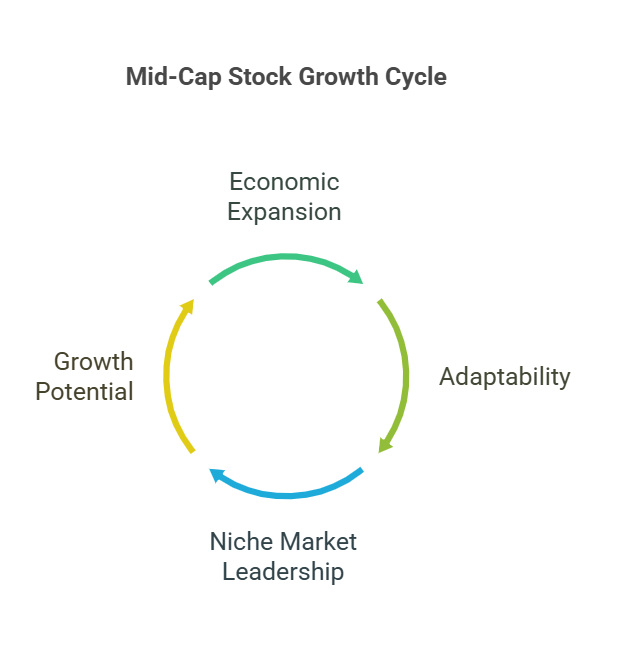 Mid cap Stock growth cycle